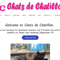Chats de Chatiilon